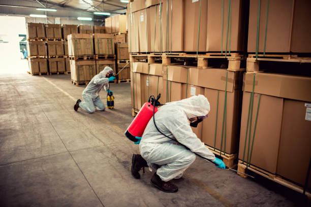 Best Flea Control Services  in Kennewick, WA