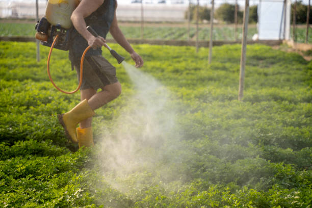 Best Emergency Pest Control  in Kennewick, WA