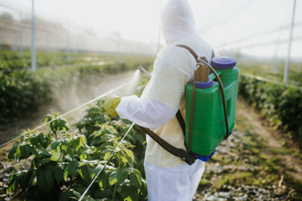 Best Pest Removal Services  in Kennewick, WA
